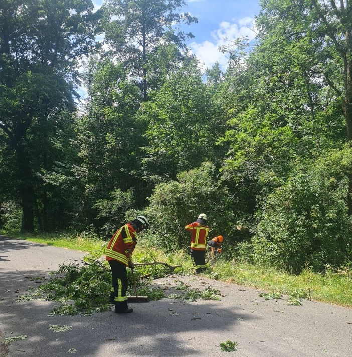 20250623_143310_resized zugeschnitten.jpg